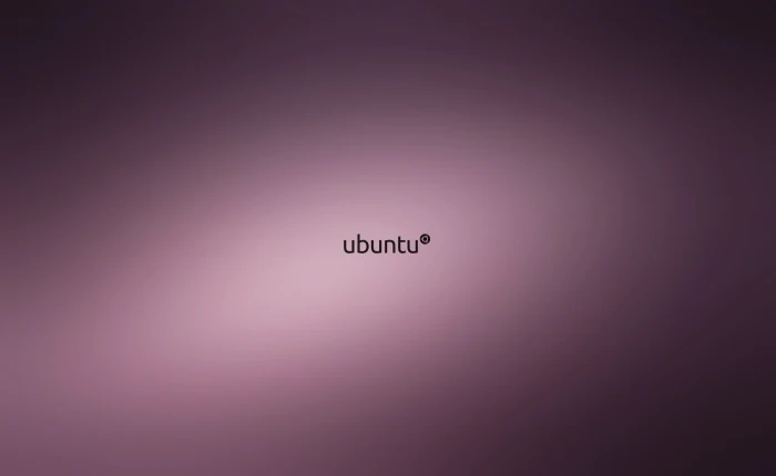Minimalist Ubuntu Computers Linux 2k