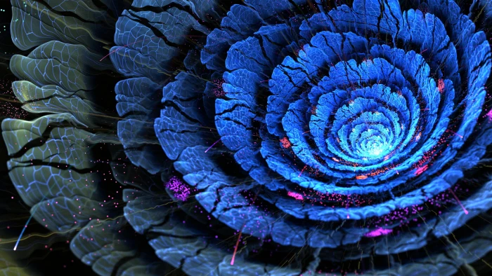 purple flower wallpaper close up photography of blue petaled 2k