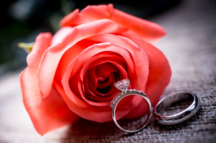 silver colored bridal ring set flower rose wedding Flower 2k 4k 5k