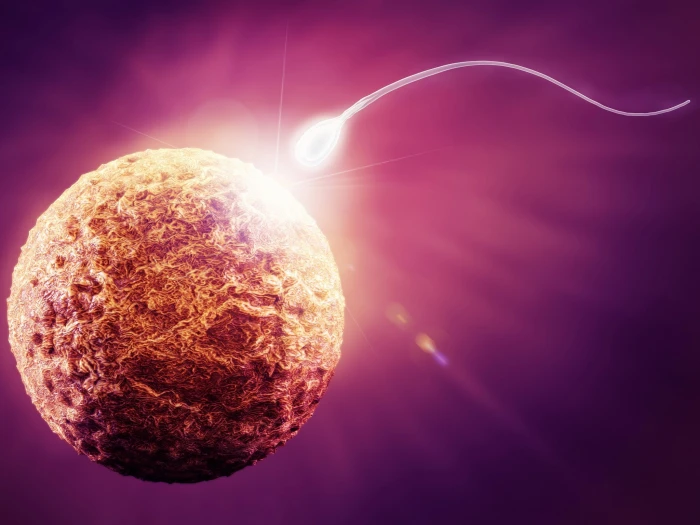 abstract abstraction bokeh cell dna egg eggs life male 2k