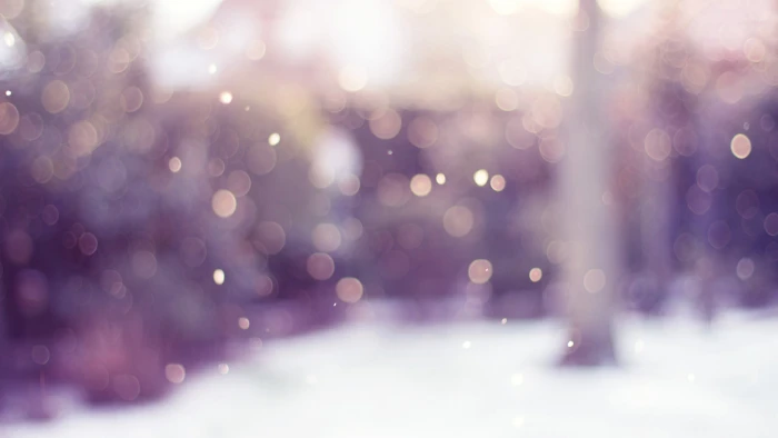 bokeh photography of trees blurred winter circle lights snow 2k