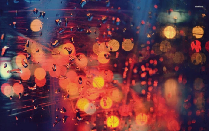 bokeh photography with water drops rain macro 2k