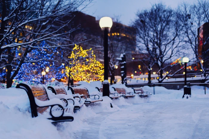 brown and black wooden benches winter light snow trees the city 2k