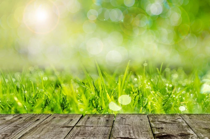 green grasses digital wallpaper background gardening spring 2k