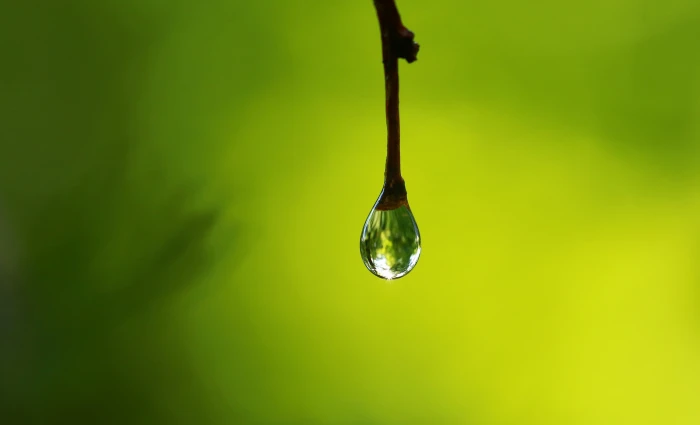 micro photography of water drop single outdoor nature Regen 2k 4k