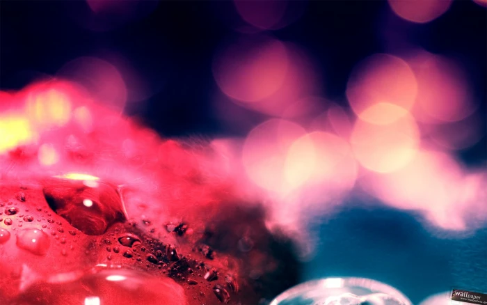 red water drop illustration bokeh drops lights illuminated 2k
