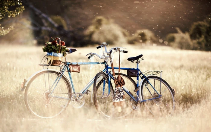two blue commuter bikes greens grass trees flowers nature 2k