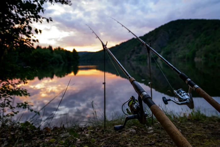 two brown and gray fishing rods summer landscape blur bokeh 2k 4k 5k