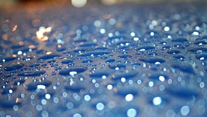 water dew selective photography of drop drops macro 2k