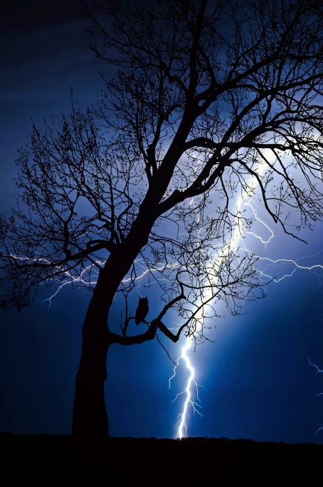 Black three with thunder background picture thunderstorm flash 2k