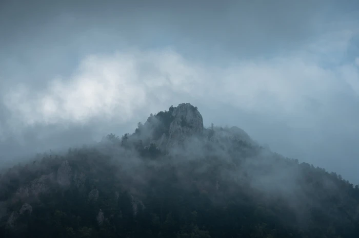 Aerial photo of tree covered mountain foggy cloud 2k 4k