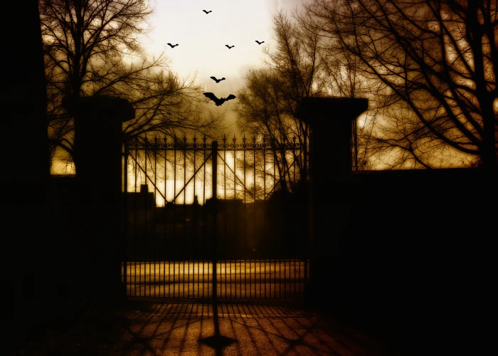 bats dark moon lights halloween weird darkness creepy 2k 4k 5k