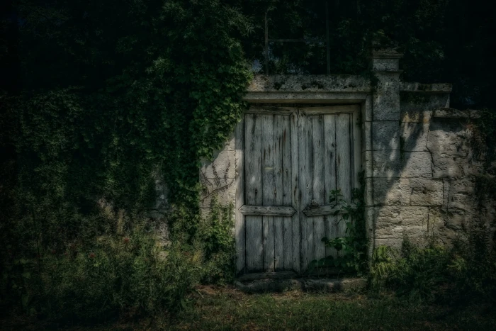 goal gate input old wood night dark mystical weathered 2k 4k 5k