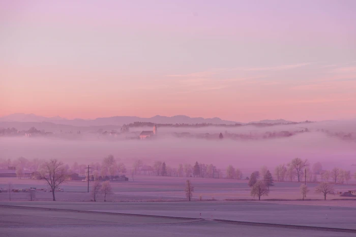green leaves trees near snow area during daytime Nebel Europa 2k 4k 5k