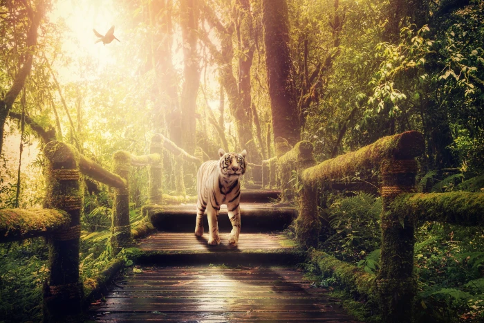 jungle tiger away moss predator white fantasy wildcat 2k 4k 5k