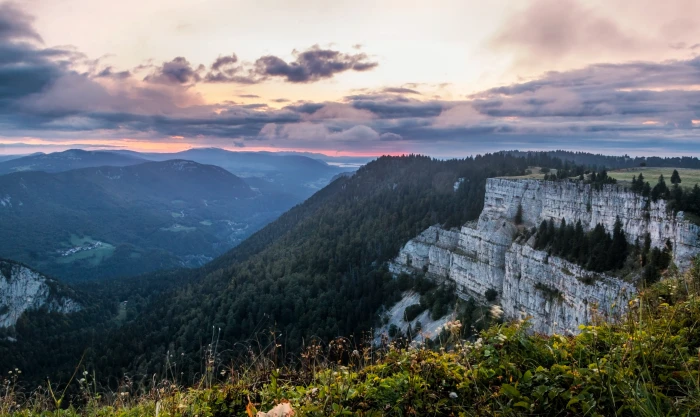mountain near forest of trees colored the horizon switzerland 2k 4k 5k