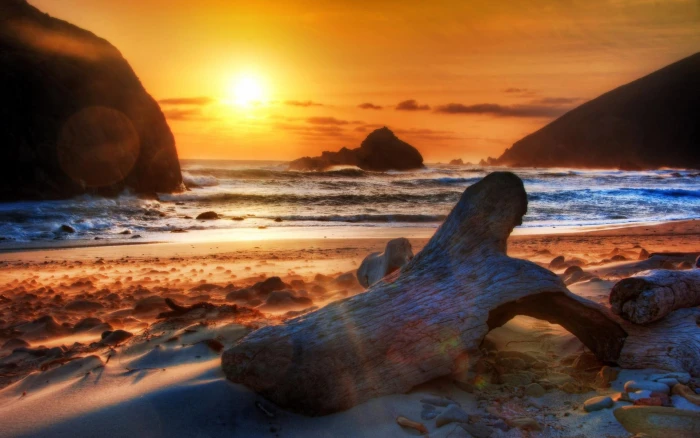 Mystic Sunset beach logs rocks nature and landscapes 2k
