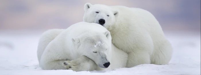 px dual monitor multi screen snow cold temperature widescreen dualmonitor dualscreen 2k