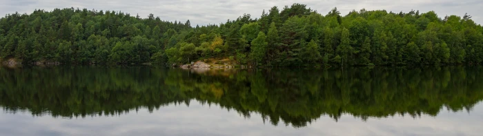 dual monitors multiple display landscape reflection tree widescreen dualmonitor dualscreen 2k 4k