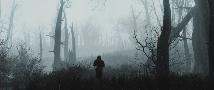 dual monitors video games tree forest plant fog widescreen dualmonitor dualscreen 2k 4k 5k