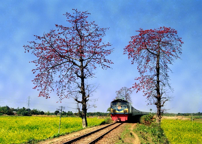 bangladesh train landscape plant tree mode of transportation 2k 4k 5k