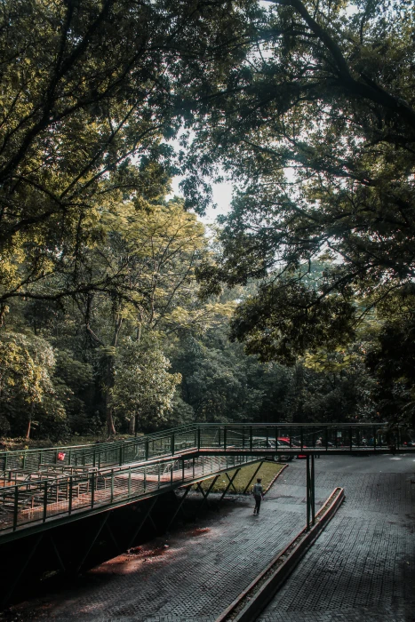 indonesia forest walk babakan siliwangi nature bandung wallpaper 2k