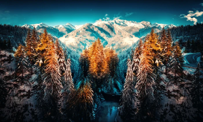 landscape photograph of forest with snow mountain winter nature 2k 4k 5k