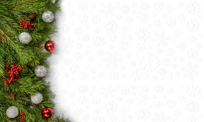 closeup photo of green Christmas tree background backdrop decoration 71 2k 4k 5k