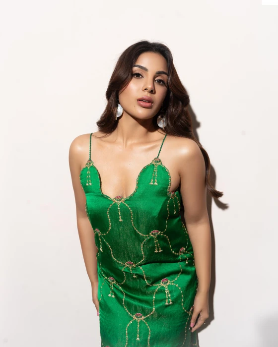 Samyukta Menon 2k 4k 5k