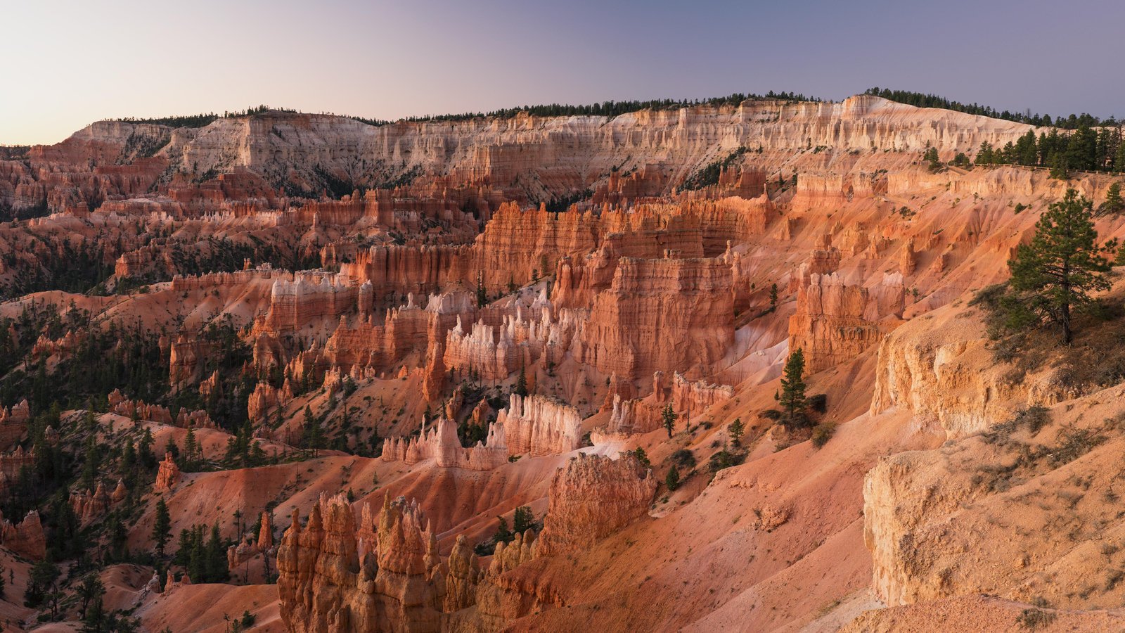 Bryce Canyon at Dawn 2k 4k 5k