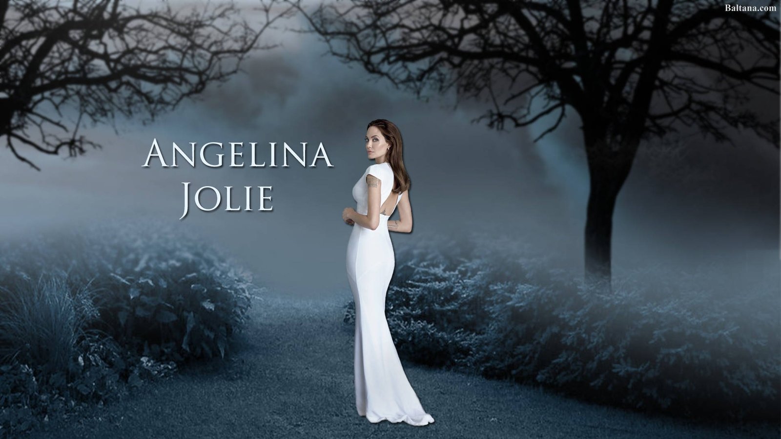 angelina jolie forest fanart actress hollywood