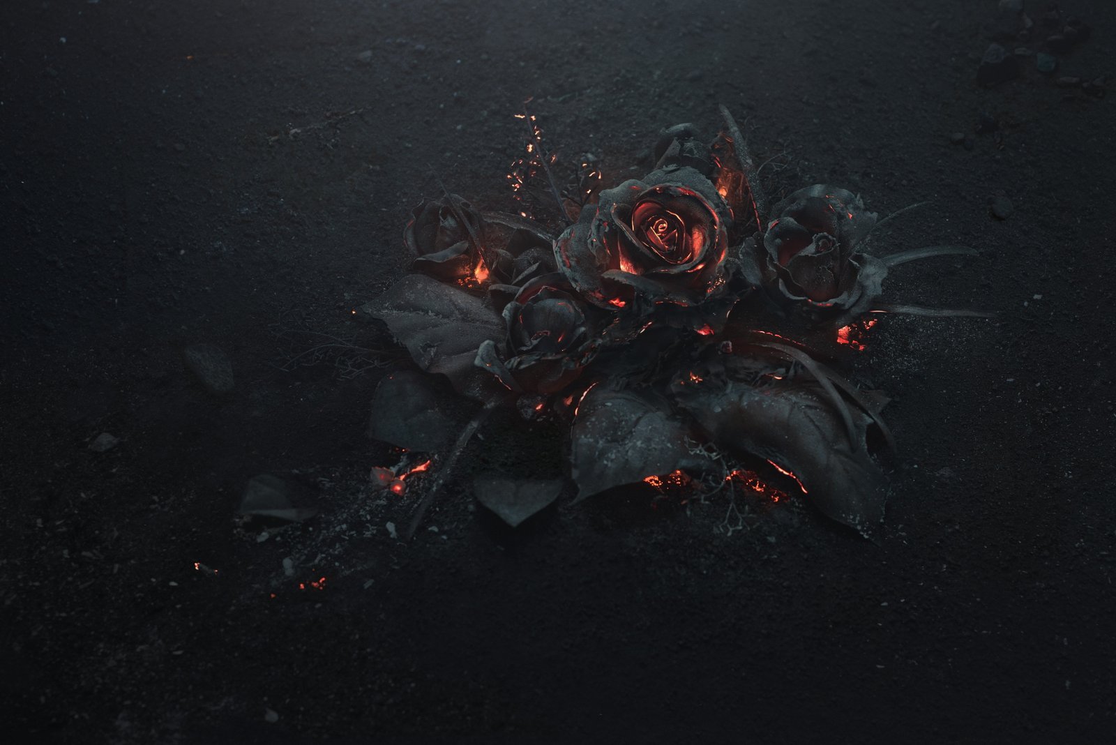 black rose illustration ash burning abstract dark flowers 49 2k 4k 5k