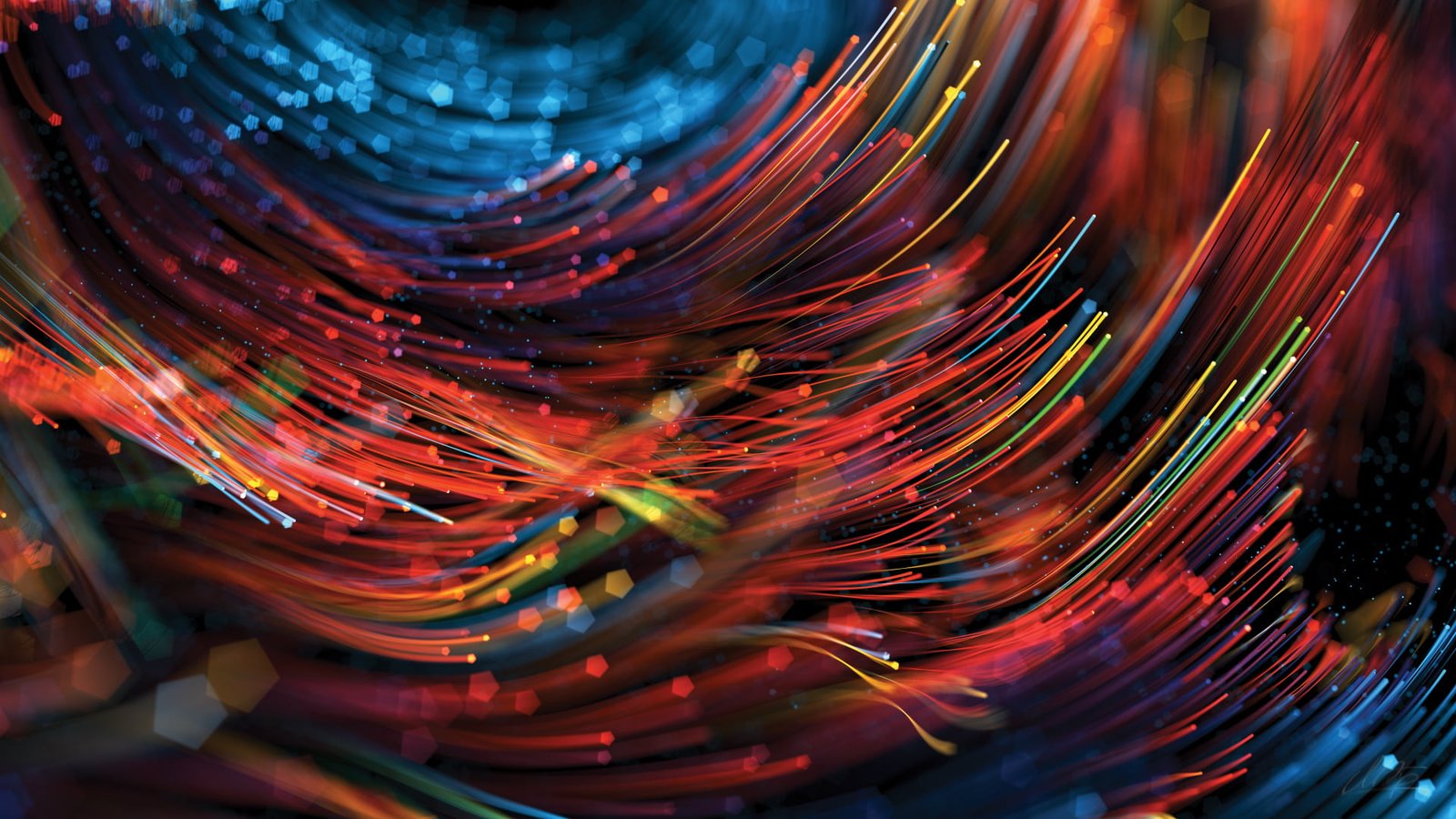 multicolored abstract illustration macro photography of red and blue strings