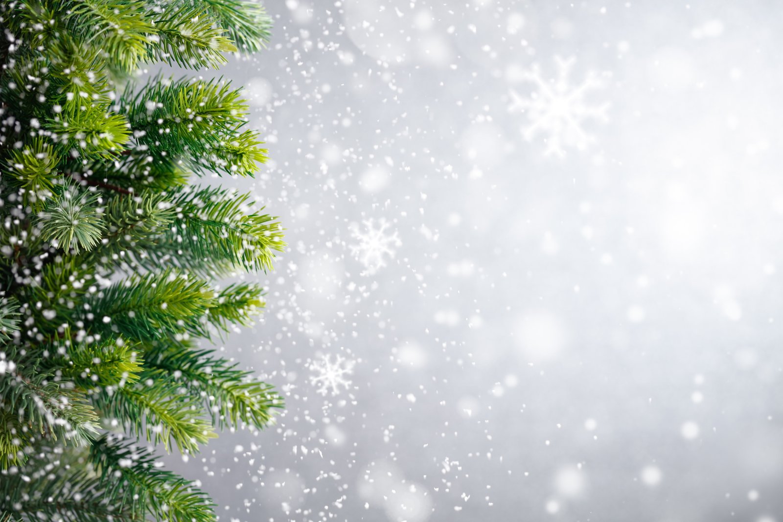 green pine boughs winter snow snowflakes tree New Year Christmas 2k 4k 5k 8k