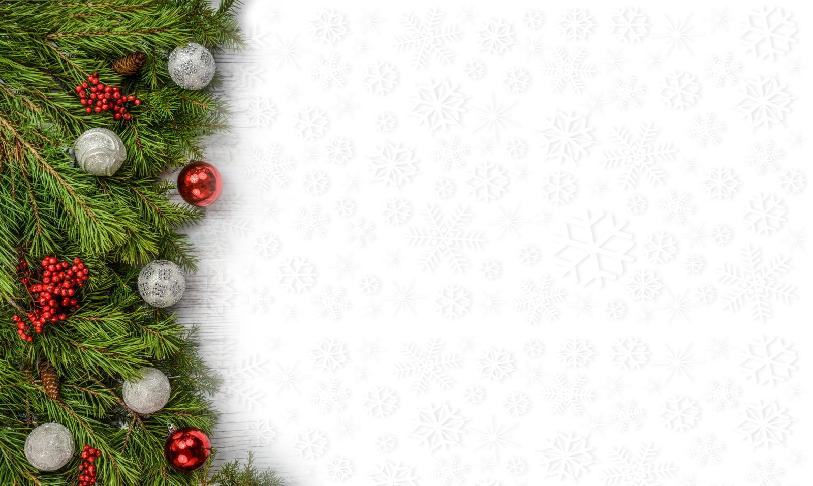 closeup photo of green Christmas tree background backdrop decoration 61 2k 4k 5k