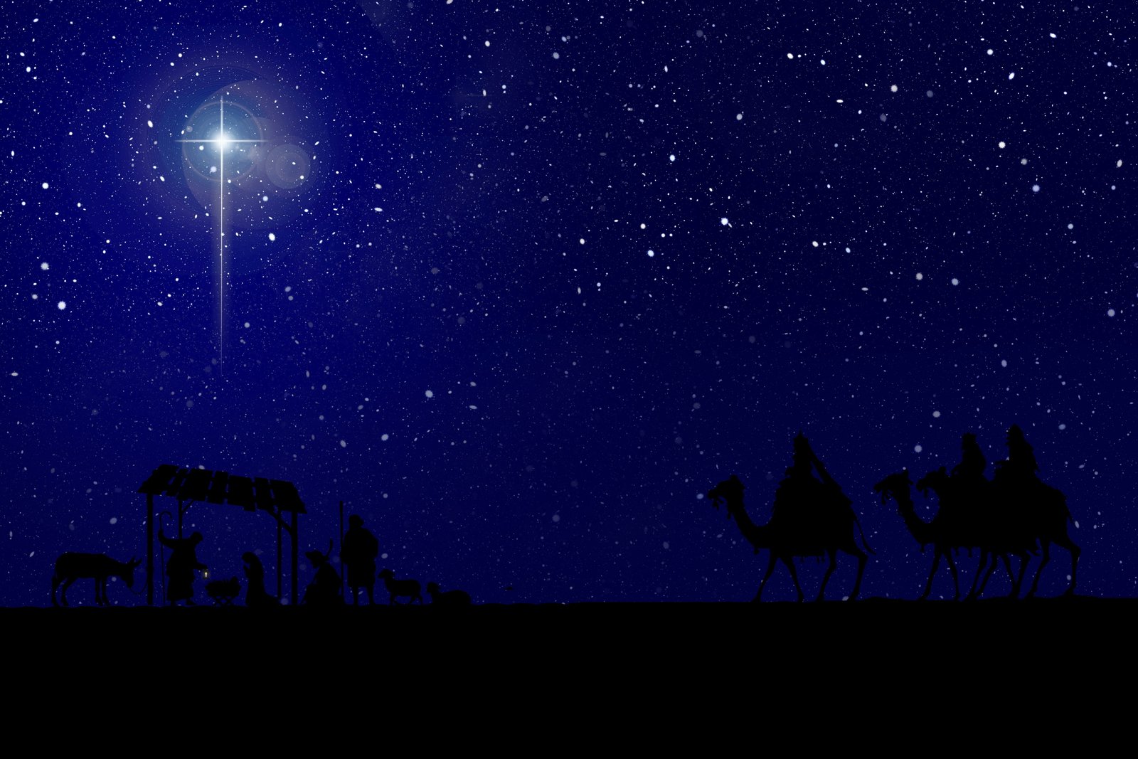 nativity star manger christmas crib jesus bethlehem christian 2k 4k