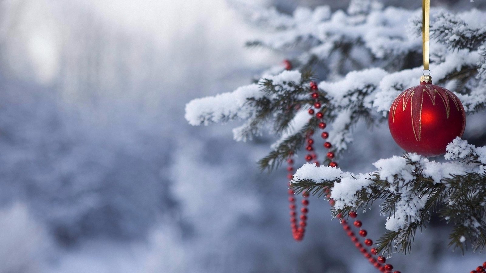snow christmas tree snowy winter branch freezing frost 2k