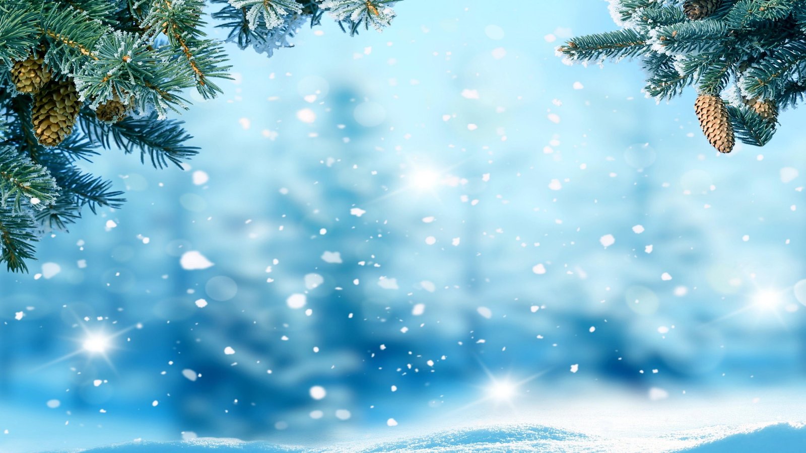 blue sky tree pine snow spruce winter fir branch snowfall 2k