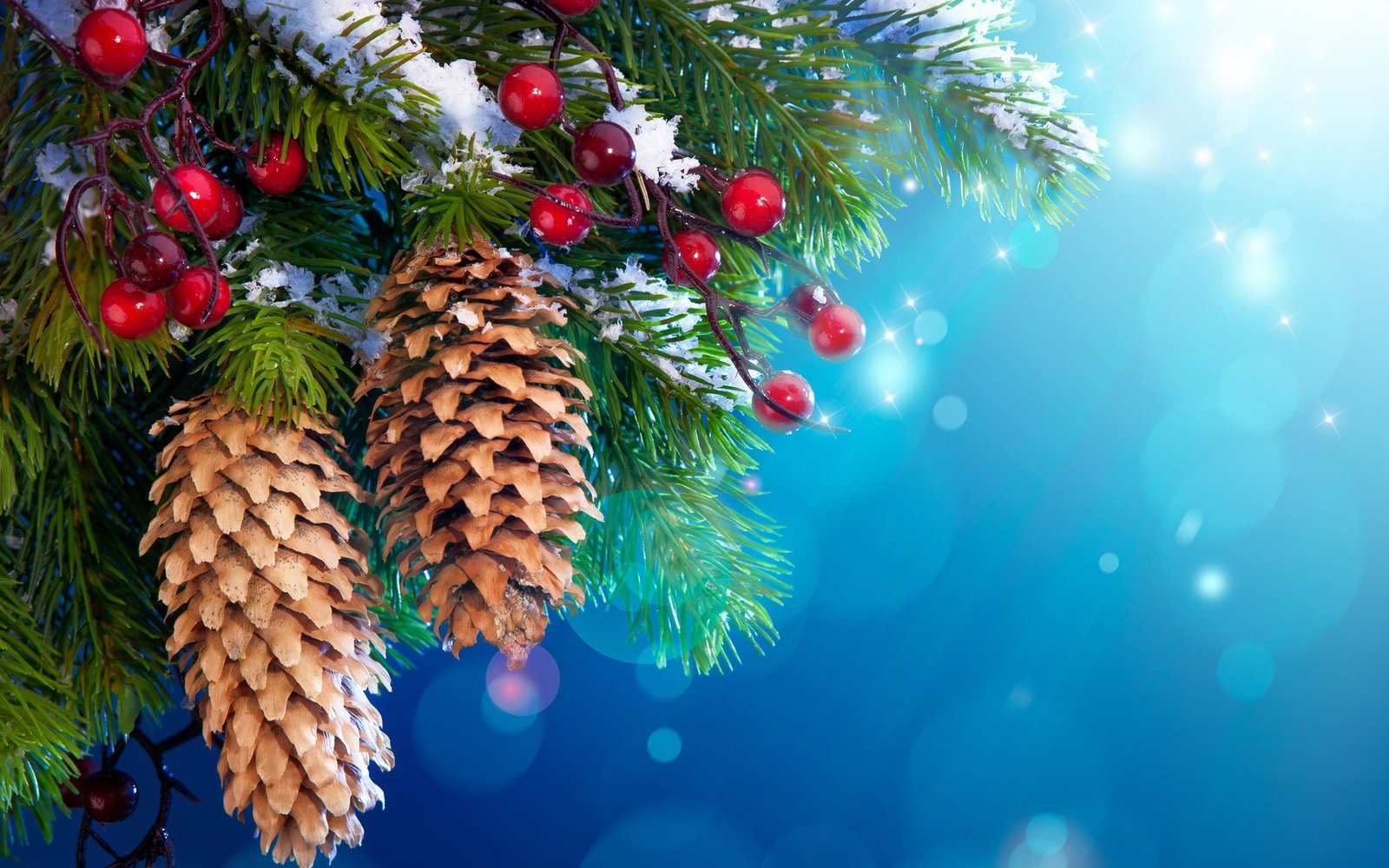 New Year Christmas tree decoration snow twigs berries 2k