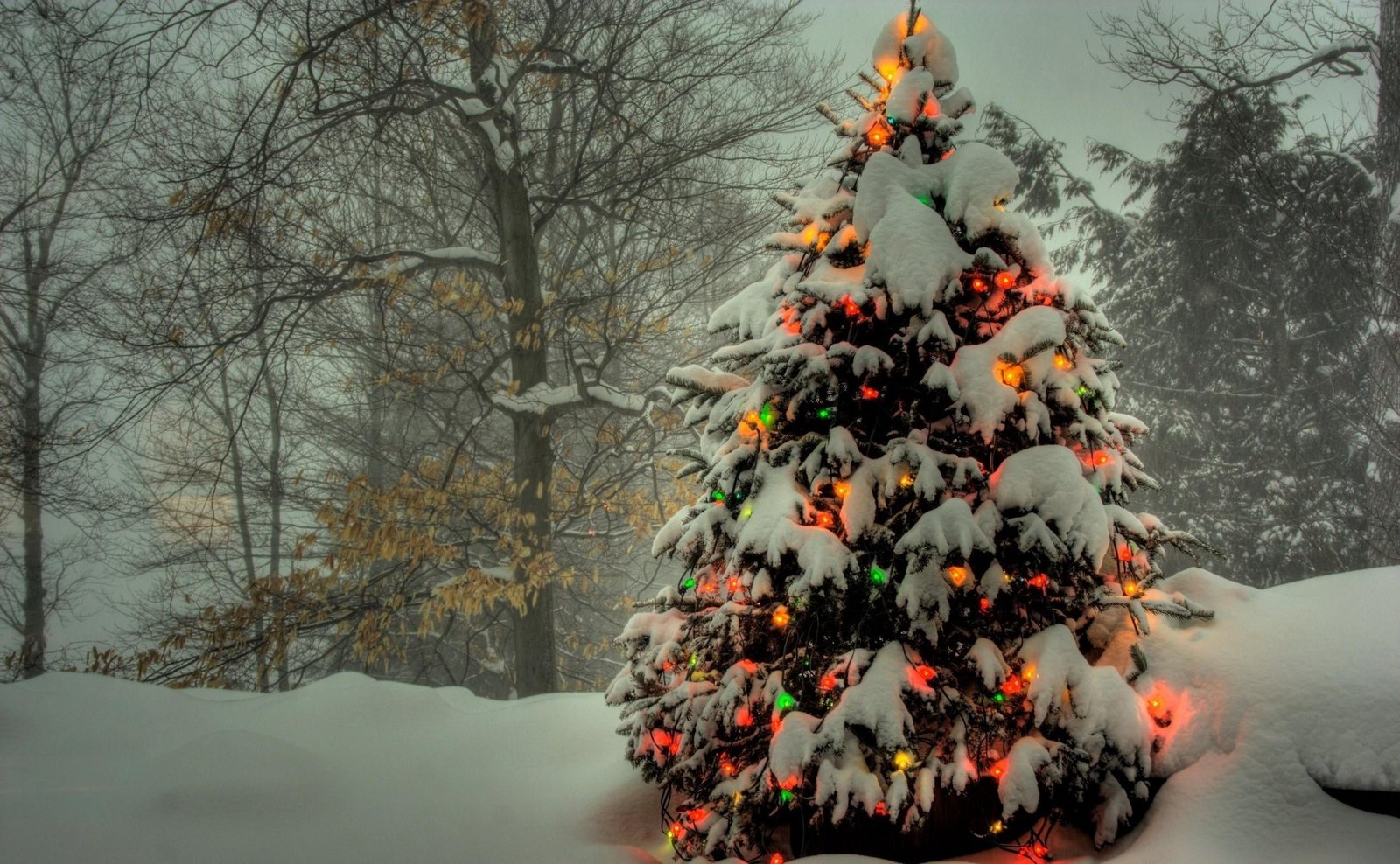 green Christmas tree garland new year trees snow winter 2k