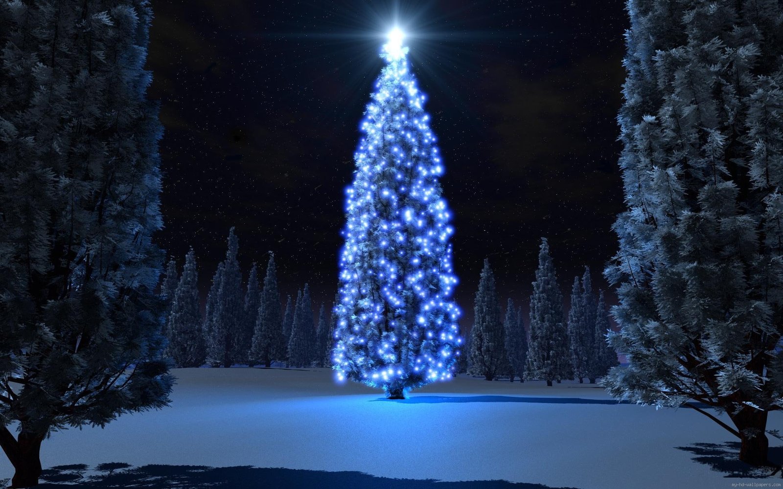 Blue christmas tree giant holidays winter lights