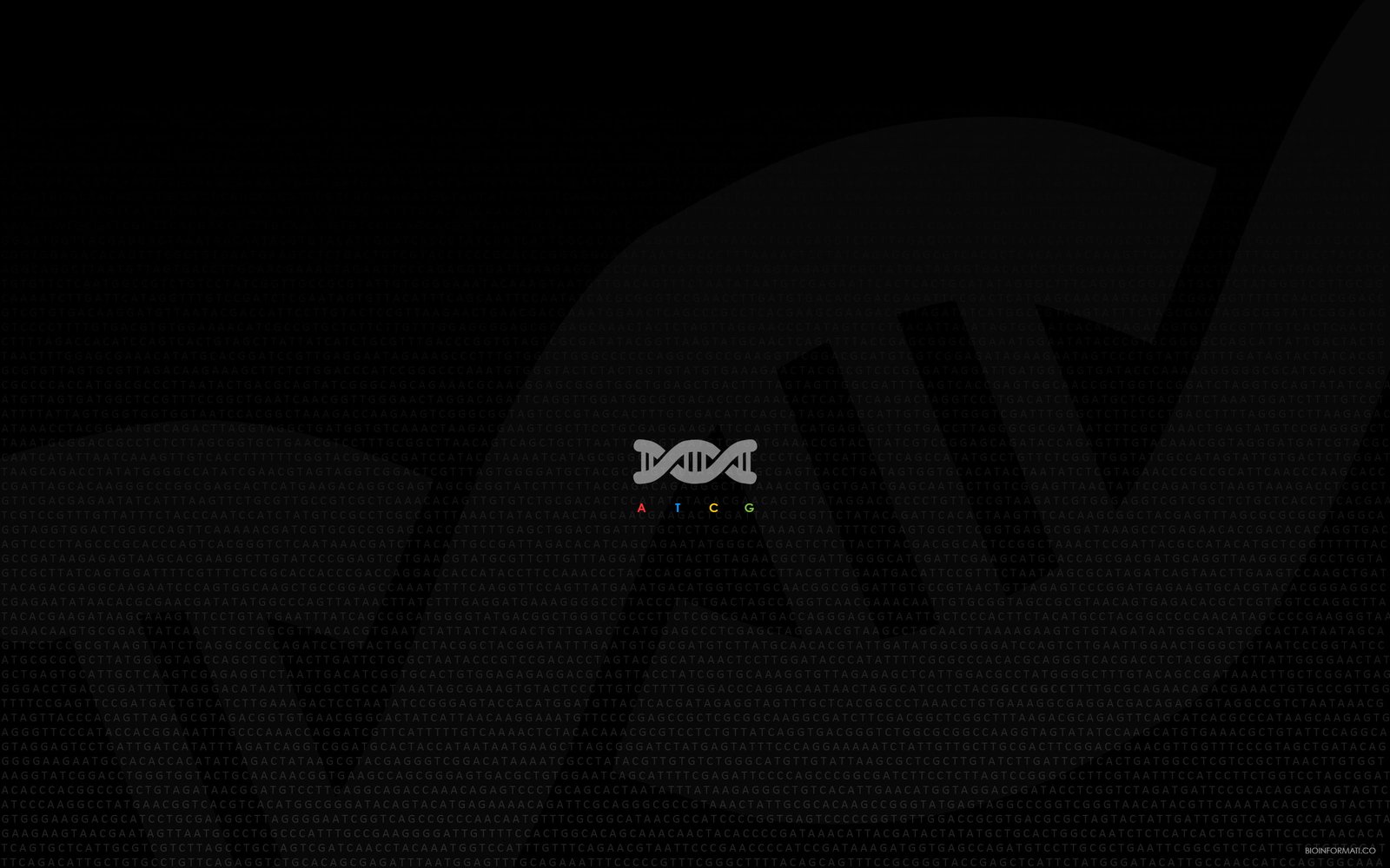 untitled minimalism DNA indoors pattern no people nature 2k