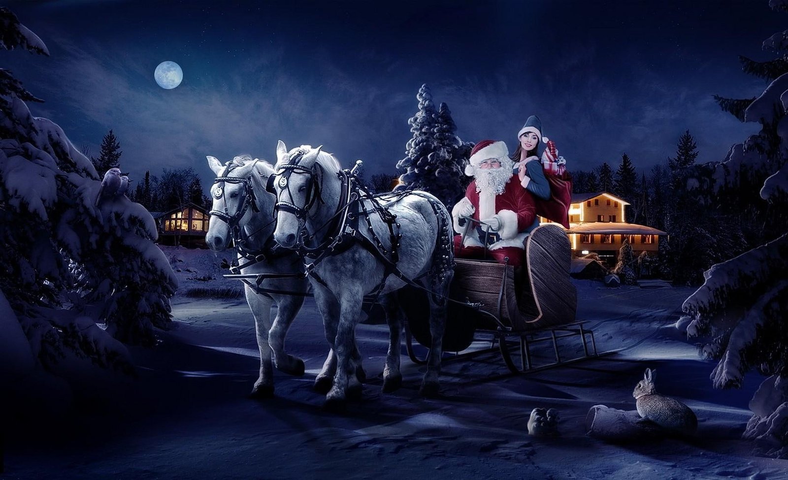 santa claus sleigh girl horse tree night christmas bag gifts