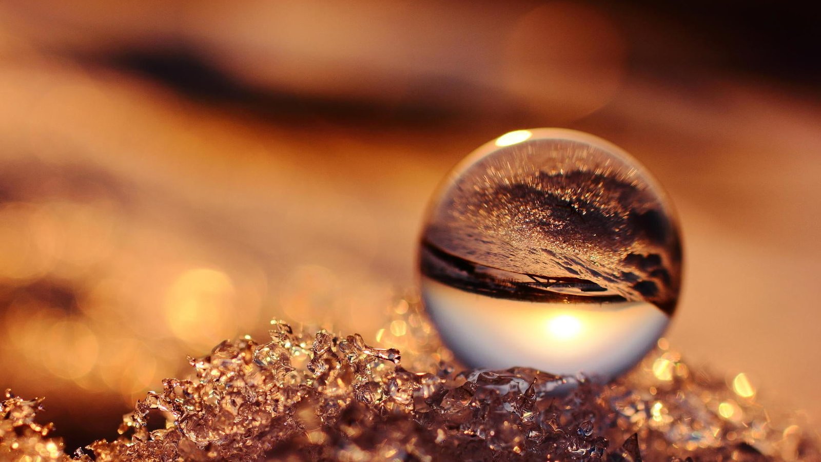 glass sphere close up photography clear marble toy nature macro