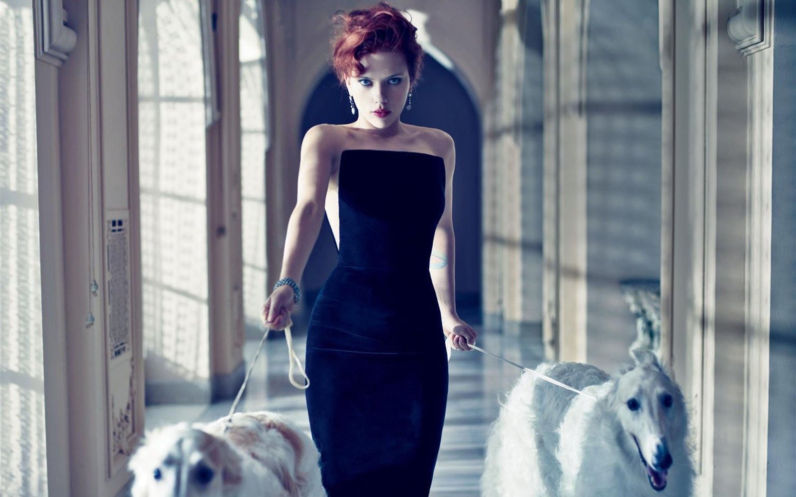 Actresses Scarlett Johansson one animal dog canine pets