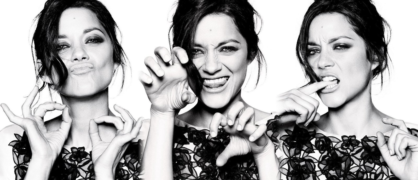 collage Marion Cotillard actress monochrome 2k