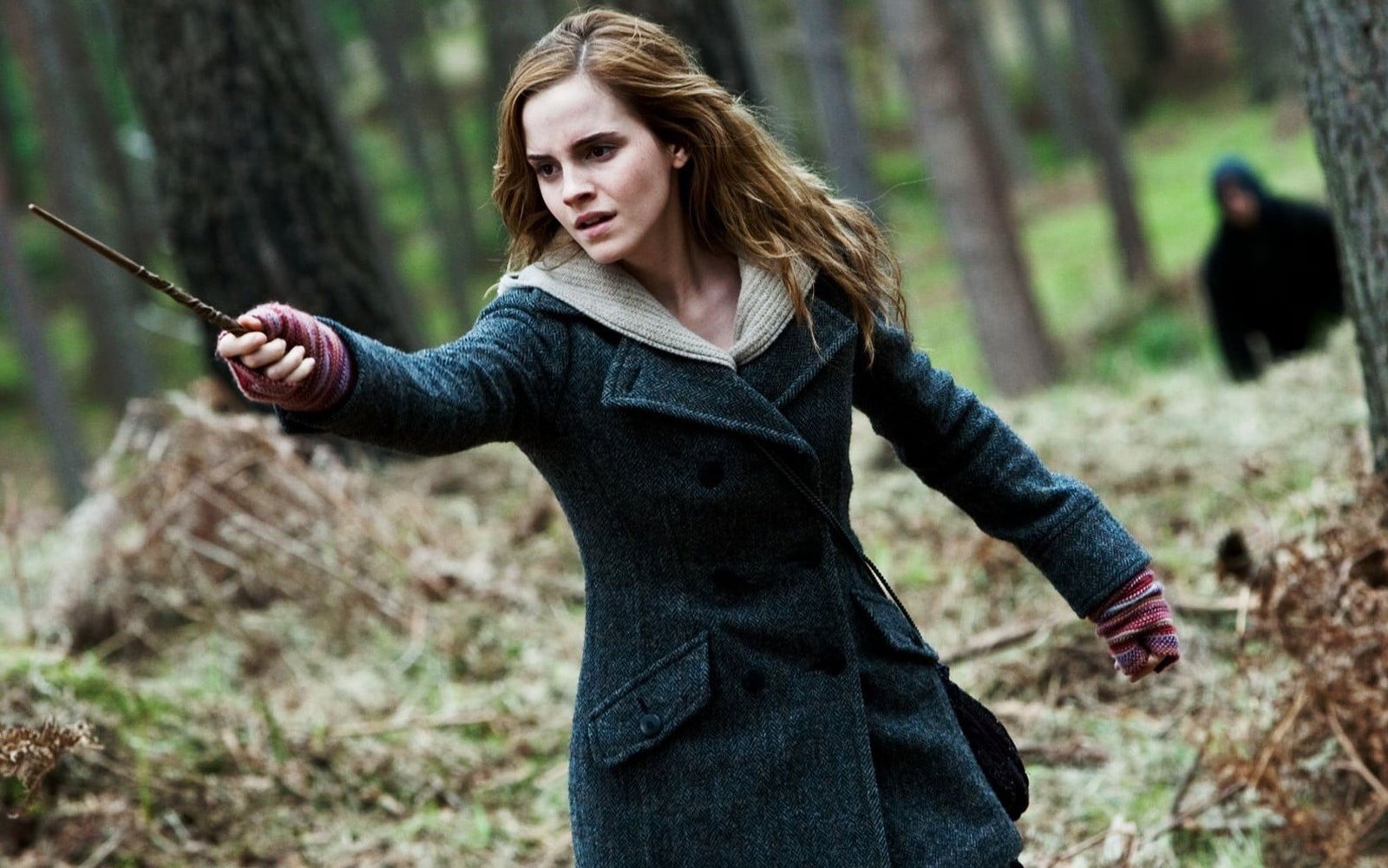 Hermione Granger Emma Watson Harry Potter and the Deathly Hallows