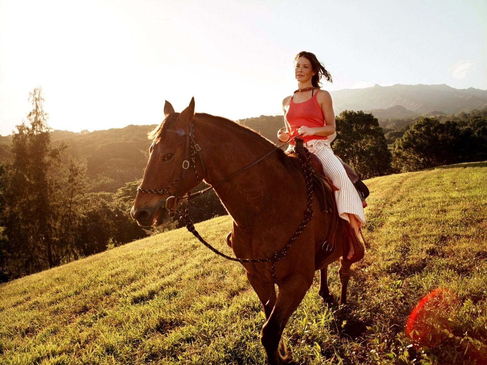 horse actress Evangeline Lilly women outdoors animals domestic