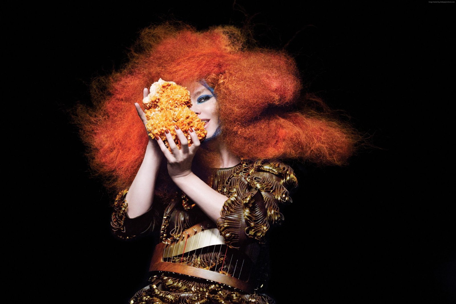 Most Popular Celebs singer actress Bjork studio shot black background 2k 4k