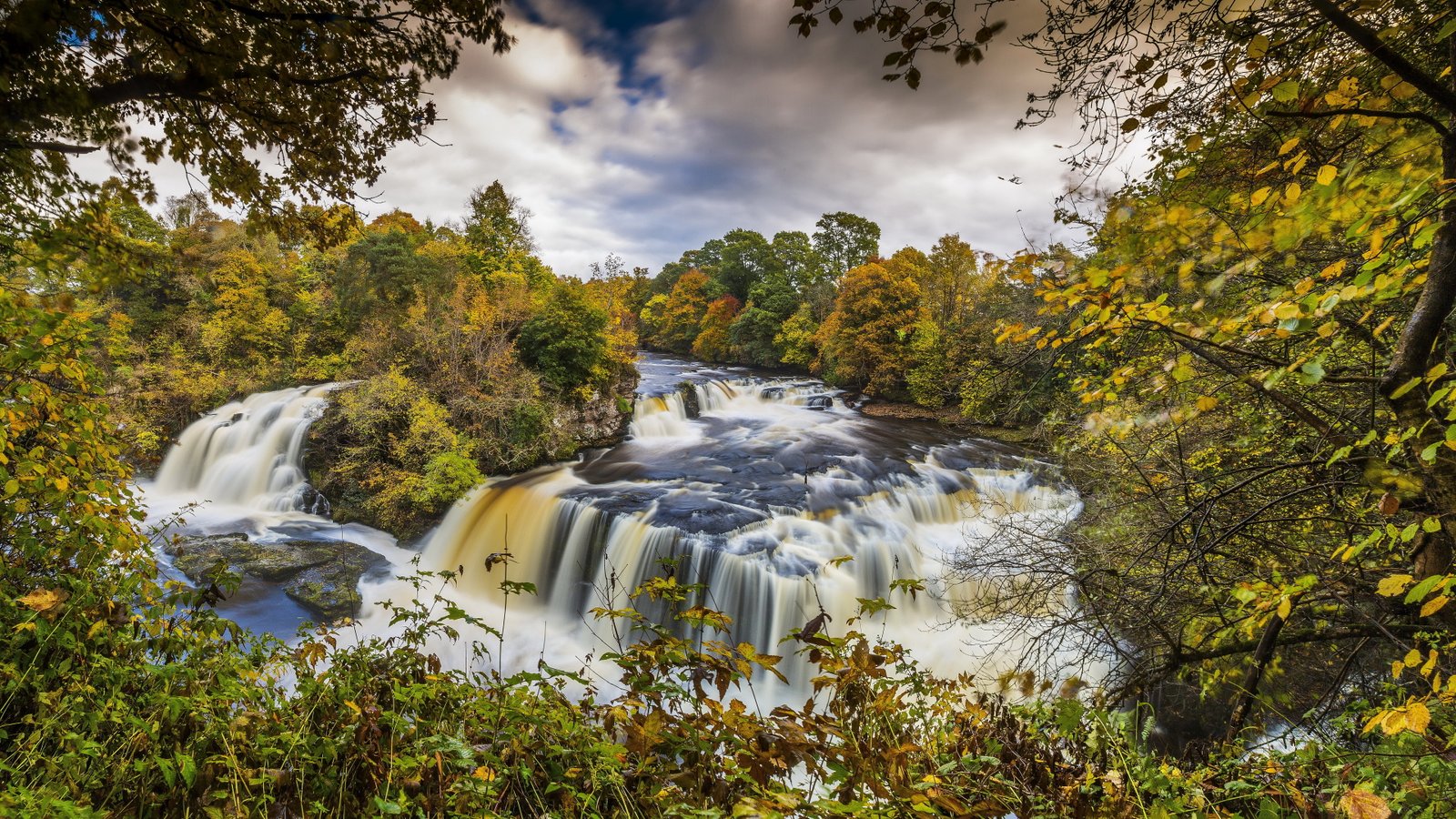nature hd waterfall tree plant beauty in flowing water 2k 4k 5k 8k